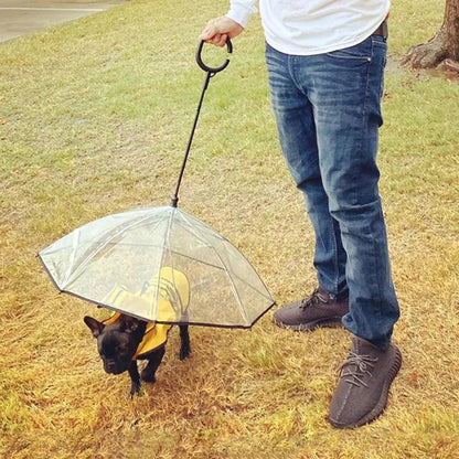 Dog Umbrella - AuraPetsDog UmbrellaAuraPets