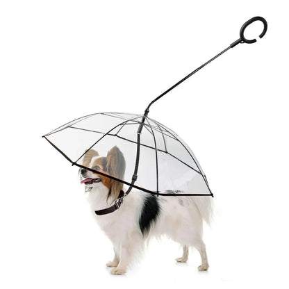 Dog Umbrella - AuraPetsDog UmbrellaAuraPets